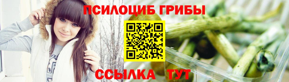 Псилоцибиновые грибы Psilocybe Семилуки